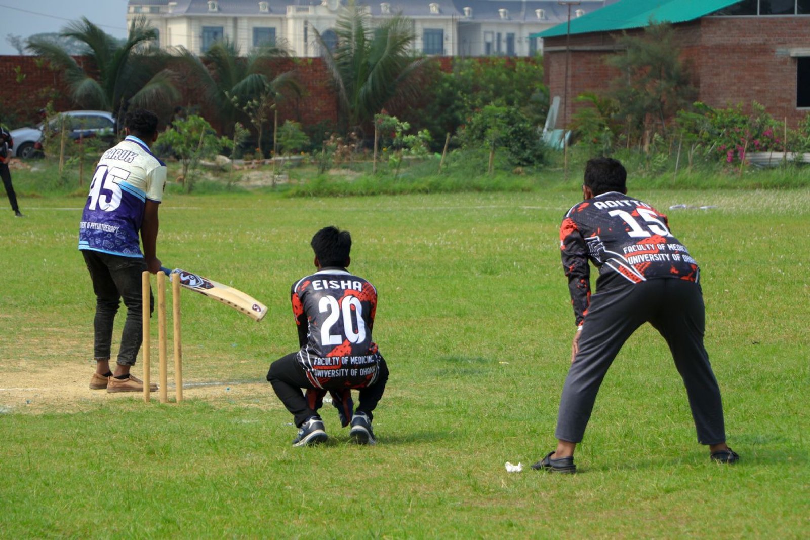 Cricket